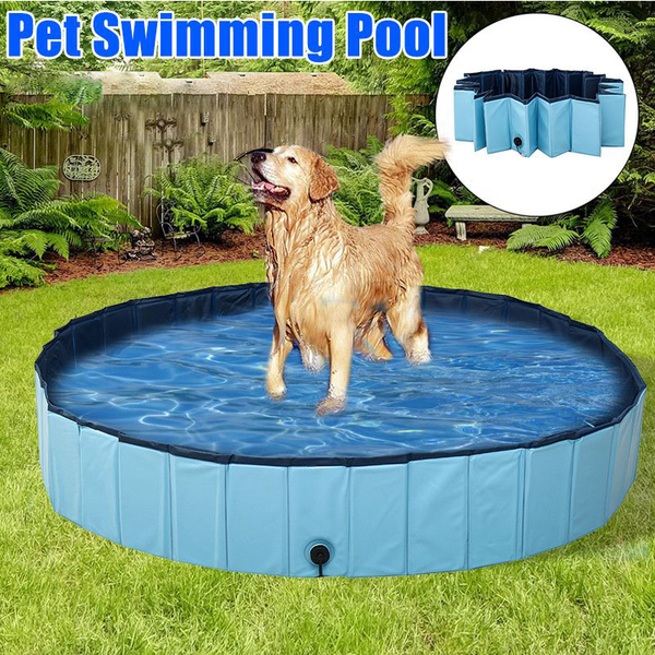 Dog Swimming Pool