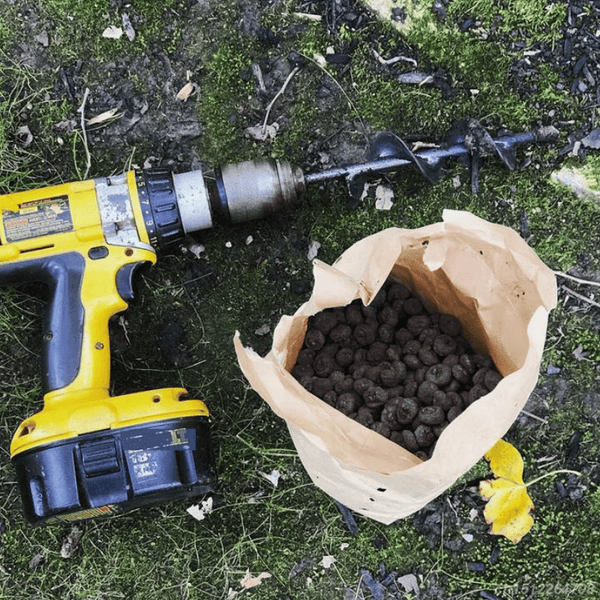 Garden Spiral Hole Drill Planter