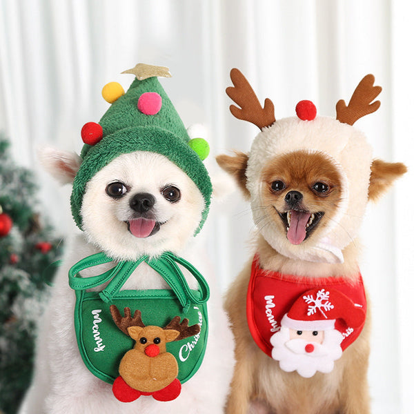 Pet Christmas Hat