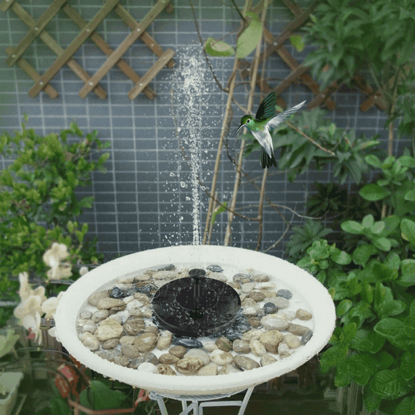 Solar Powered Water Fountain