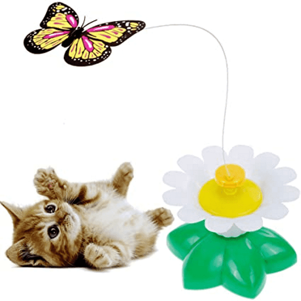 Cat Toys Butterfly