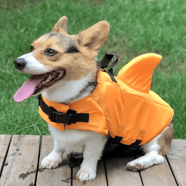 Shark Life Jacket