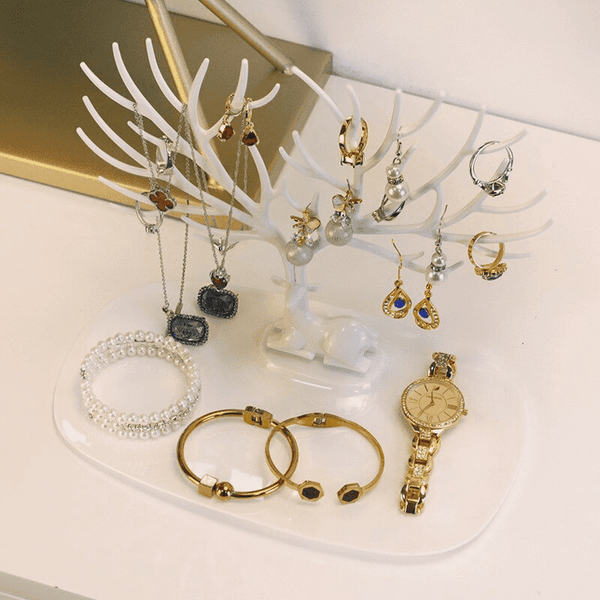 Jewelry Storage Rack