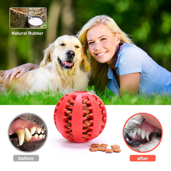 Dog Teeth Cleaning Rubber Balls