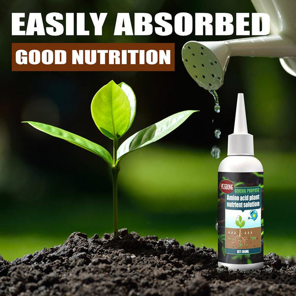 Plant Nutrient Solution