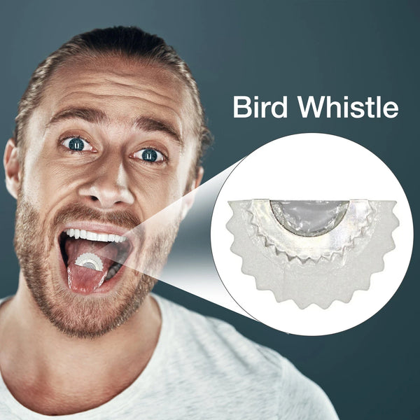 Novelty Bird Whistle Toy