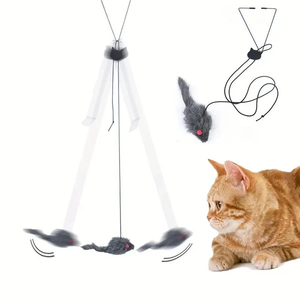 Door Hanging Cat Toy