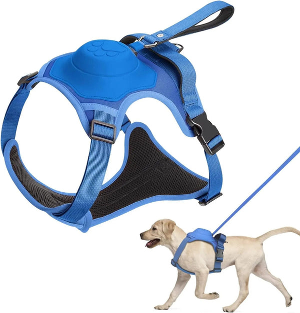 Dog Harness